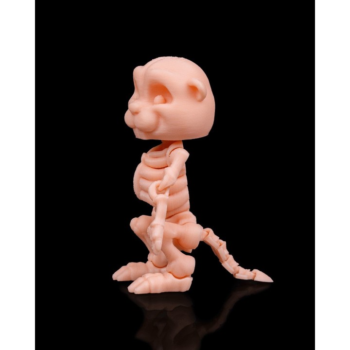 Squelette de Castor | Impression 3D Artisanale Occitanie