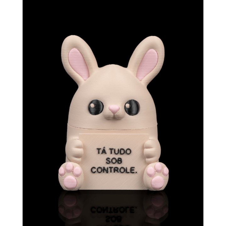 Lapin détendu | Maison Drabiec
