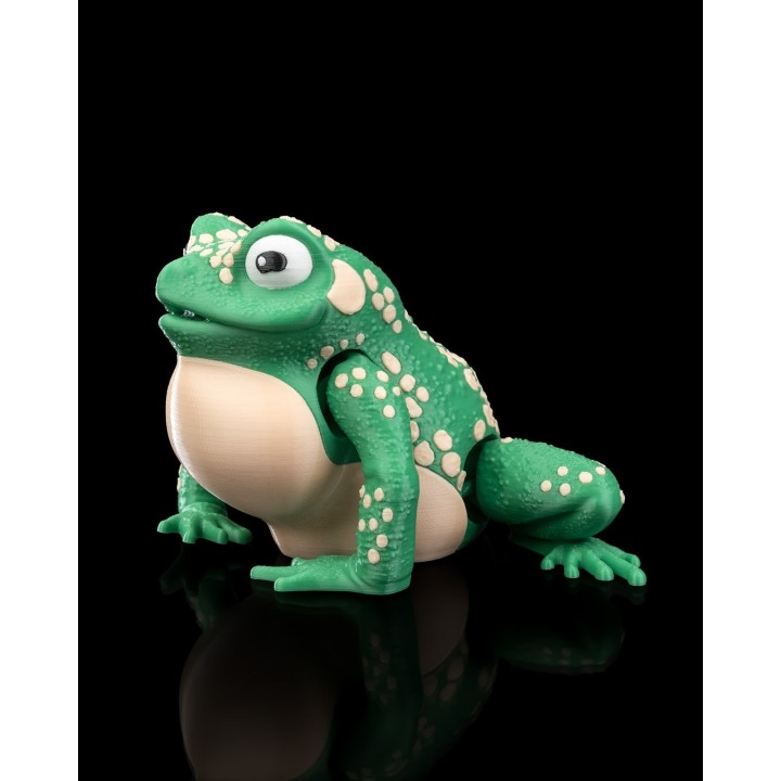 Crapaud Géant Résistant - Figurine Occitanie