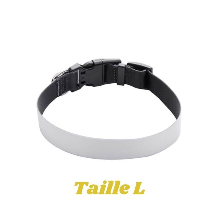 Collier pour chien personnalisé photo | Maison Drabiec