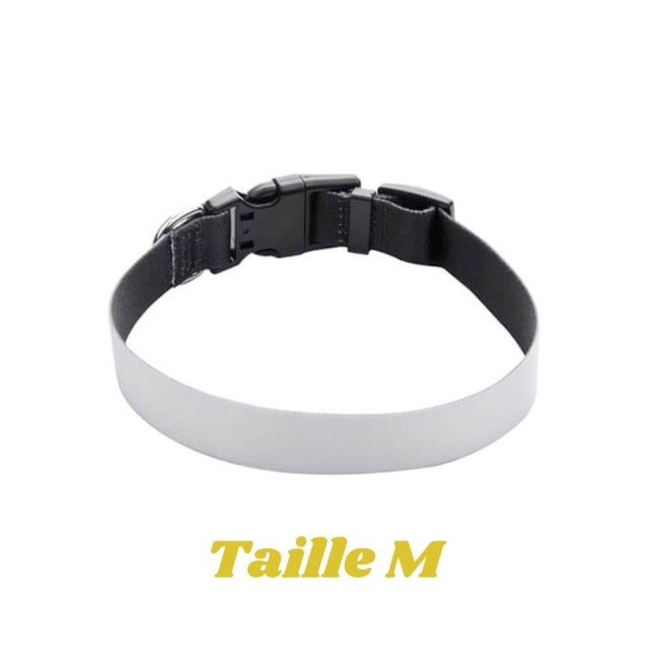 Collier pour chien personnalisé photo | Maison Drabiec