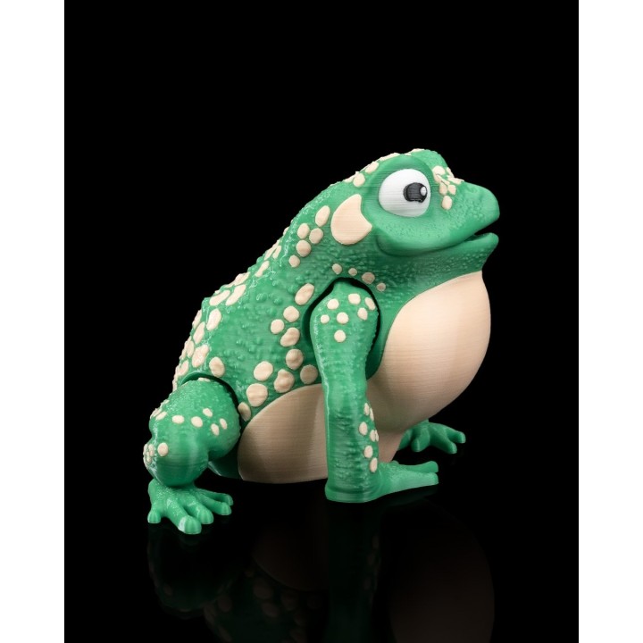 Crapaud Géant Résistant - Figurine Occitanie