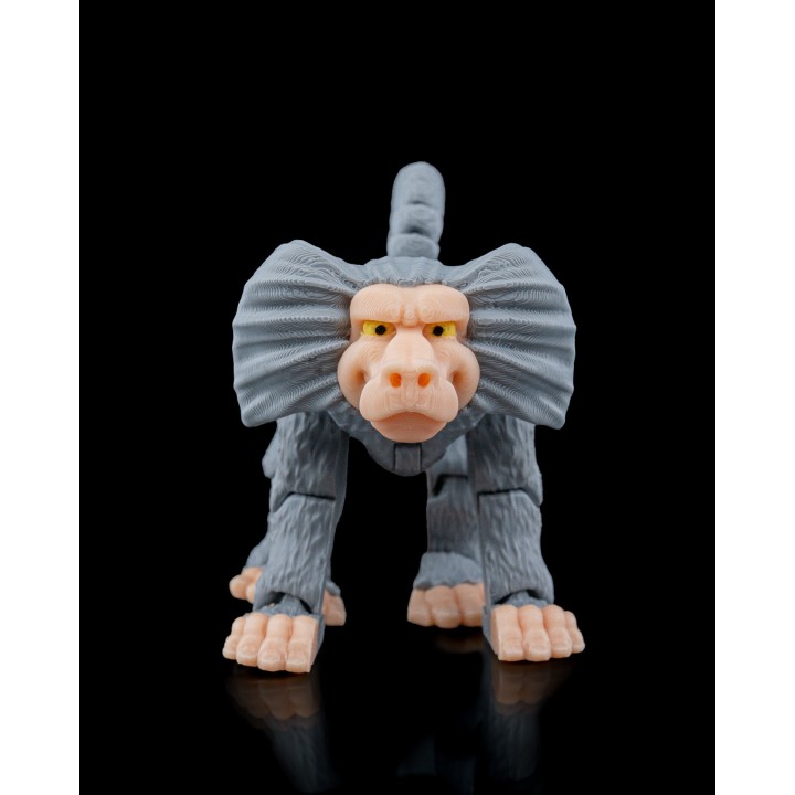 Cheeky Baboon