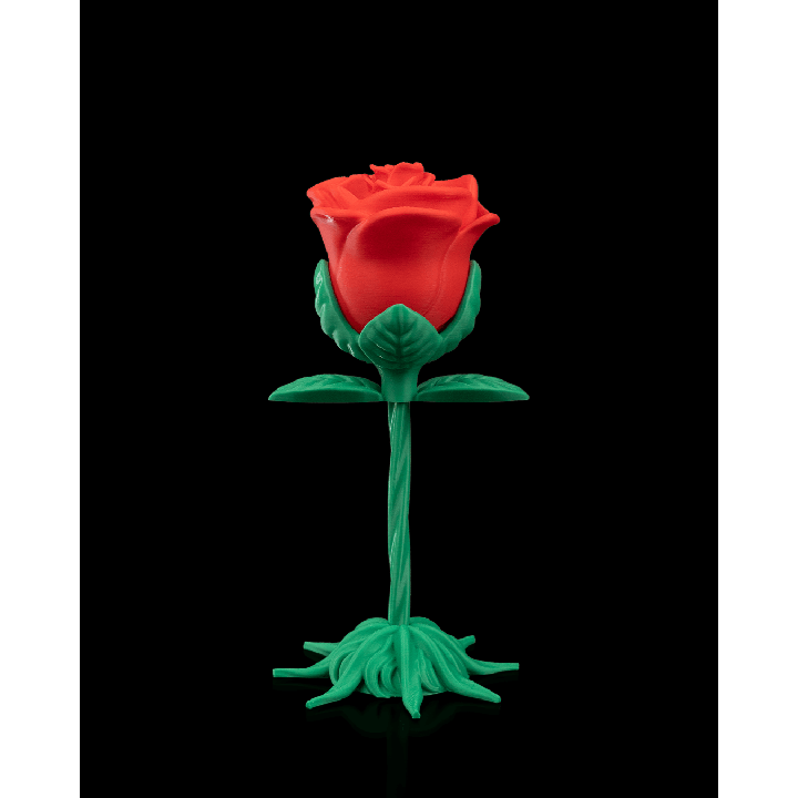 Endless Bloom