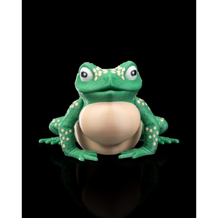Kate, the Cane Toad