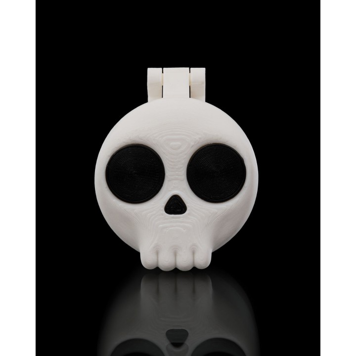 Deadly Dose Keychain Pill Holder