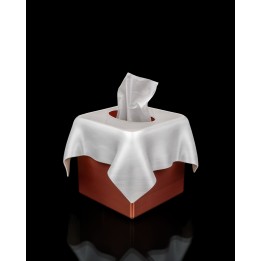 SCULPTIS Tissue Box