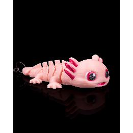 Ashley, the Axolotl