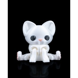 Curious Cat