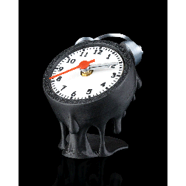 Persistent Time