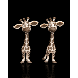 Pair of Giraffes