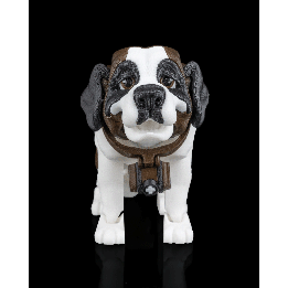 Bernie, le St. Bernard