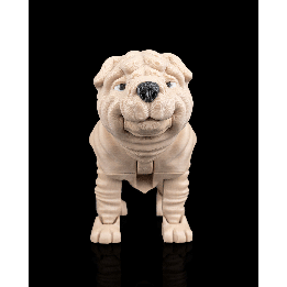 Louis, le Shar Pei