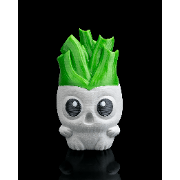 Lee, the Leek