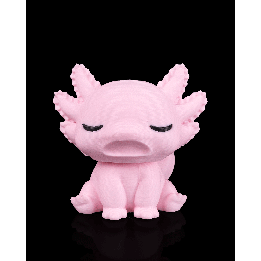 Sleepy Axolotl