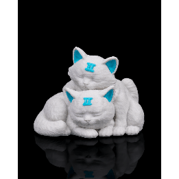 Gemini Charm