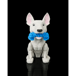 Brutus, the Bull Terrier