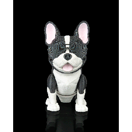 Pierre, the French Bulldog