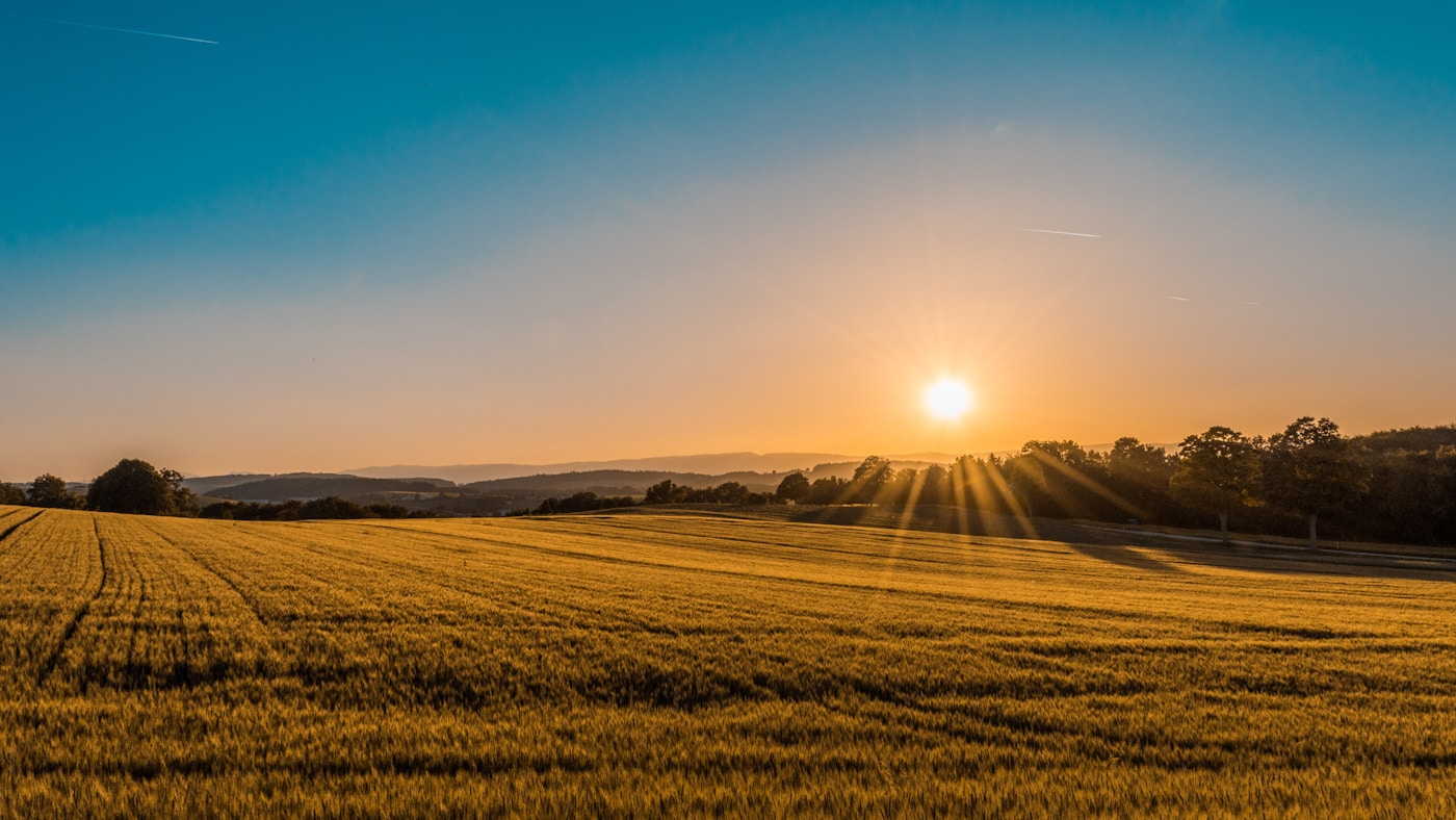 Campagne d'Occitanie, paysage rural Haute-Garonne près de Toulouse